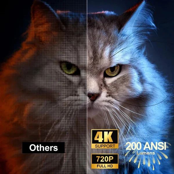 جهاز عرض دائري صغير